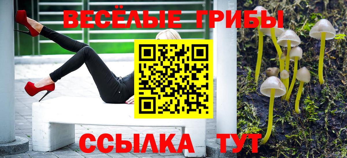 Псилоцибиновые грибы прущие грибы Красноуфимск