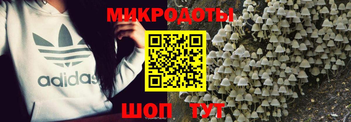 Галлюциногенные грибы прущие грибы  Вход с VPN  Красноуфимск  Псилоцибиновые грибы Cubensis 